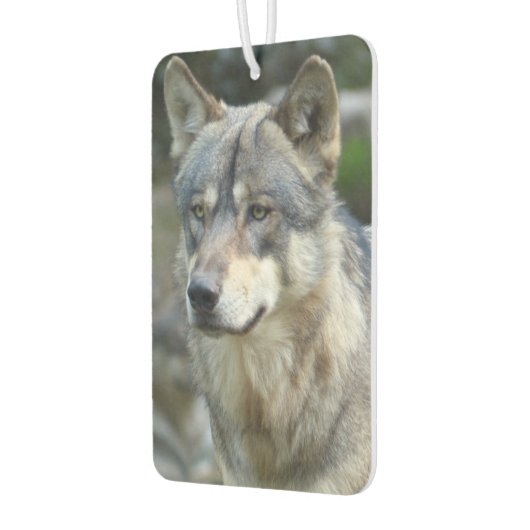 Wolf Luchtverfrisser (Links)