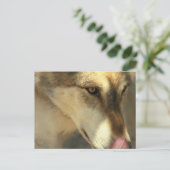 Wolf Lunch Briefkaart (Staand voorkant)