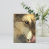 Wolf Lunch Briefkaart (Staand voorkant)