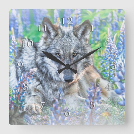 WOLF LUPINE BLOEMEN LENTE VIERKANTE KLOK (Voorkant)