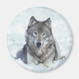 Wolf Magneet