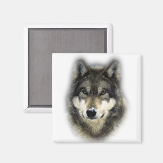 Wolf Magneet (Voorkant / Achterkant)