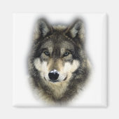 Wolf Magneet (Voorkant)