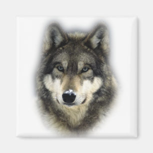 Wolf Magneet