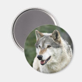 Wolf Magneet (Voorkant / Achterkant)