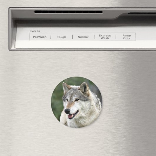 Wolf Magneet (Insitu (Vaatwasser))