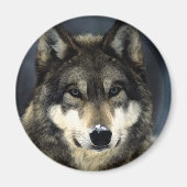 Wolf Magneet (Voorkant)