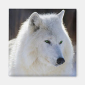 Wolf Magneet (Voorkant)