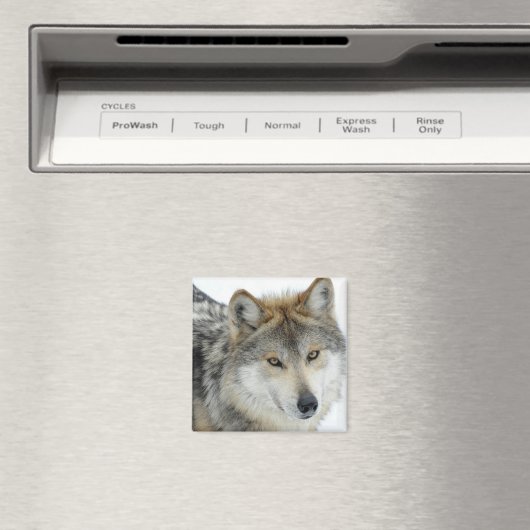 Wolf Magneet (Insitu (Vaatwasser))