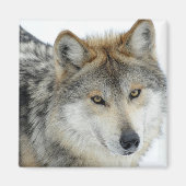 Wolf Magneet (Voorkant)
