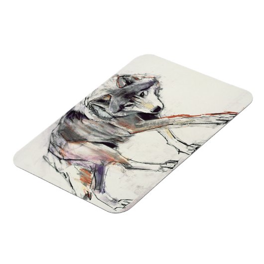 Wolf Magneet (Linkerzijde)