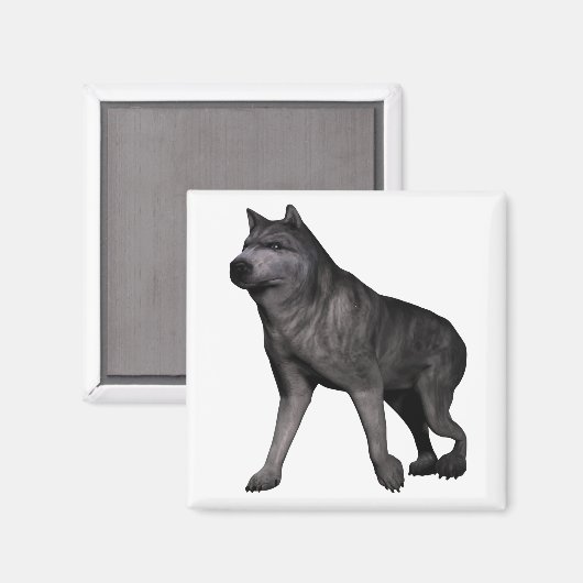 Wolf Magneet (Voorkant / Achterkant)