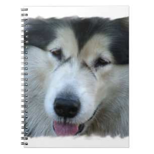 Wolf Malamute Afbeelding-laptop Notitieboek