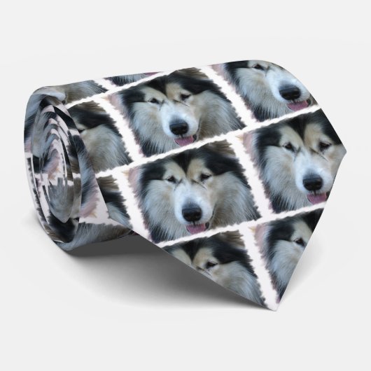 Wolf Malamute Afbeelding Mannen Necktie Stropdas (Opgerold)