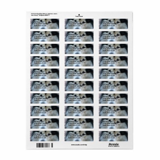 Wolf Malamute retour adres label (Full Sheet)