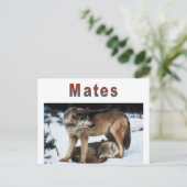Wolf Mates Line Briefkaart (Staand voorkant)