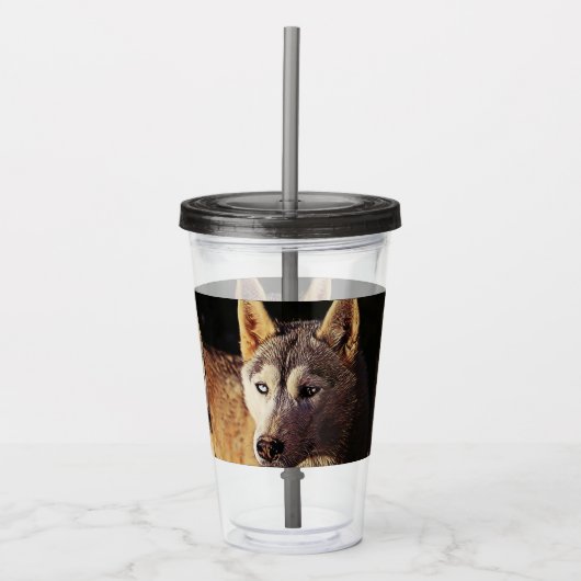 wolf met een slimme mix acryl drinkbeker (Voorkant)
