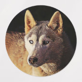 wolf met een slimme mix labels (Design 2)
