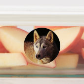 wolf met een slimme mix labels (Aangebracht)