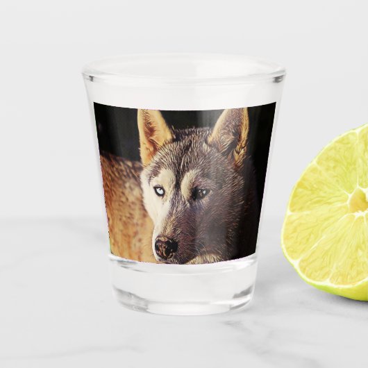 wolf met een slimme mix shot glas (Voorkant)