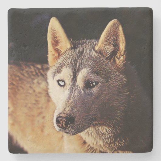 wolf met een slimme mix stenen onderzetter (Voorkant)