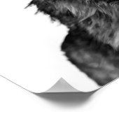 Wolf Modern Portret zwart wit Poster (Hoek)