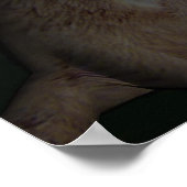 Wolf Moon Poster (Hoek)