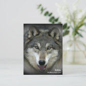 Wolf Mountain Sanctuary - Istas Post Kaart (Staand voorkant)