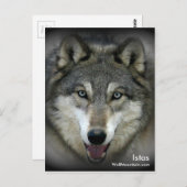 Wolf Mountain Sanctuary - Istas Post Kaart (Voorkant / Achterkant)