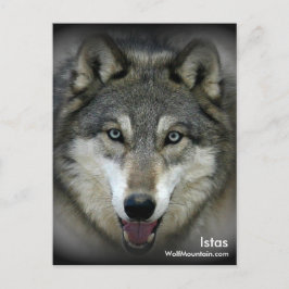 Wolf Mountain Sanctuary - Istas Post Kaart