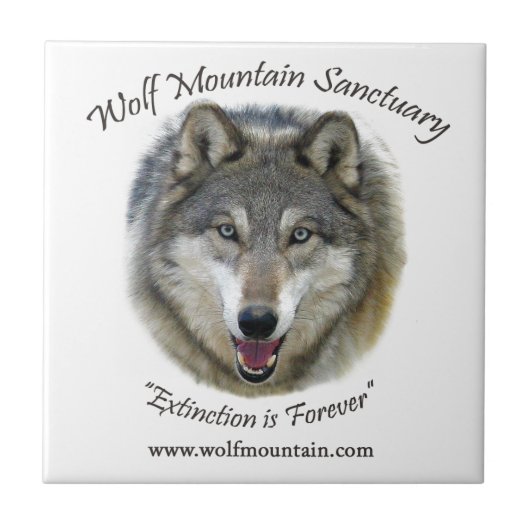 Wolf Mountain Sanctuary - Istas Tegeltje (Voorkant)