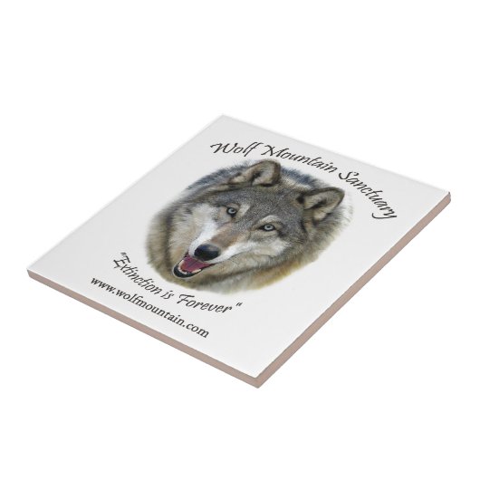 Wolf Mountain Sanctuary - Istas Tegeltje (Zijkant)