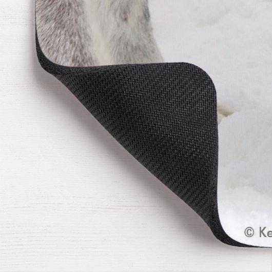 Wolf & Mouse Mousepad Muismat (Hoek)