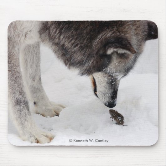 Wolf & Mouse Mousepad Muismat (Voorkant)