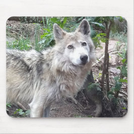 Wolf Mousepad Muismat