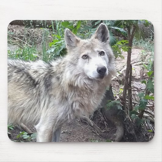 Wolf Mousepad Muismat (Voorkant)