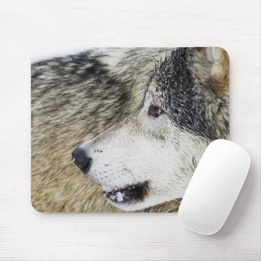 Wolf Muismat (Met muis)