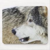 Wolf Muismat (Voorkant)