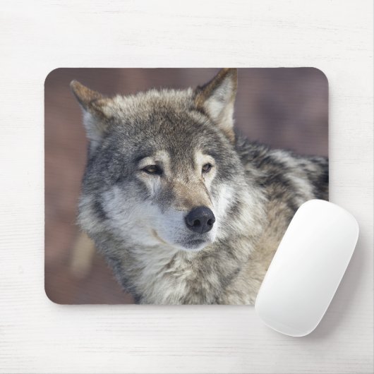 Wolf Muismat (Met muis)