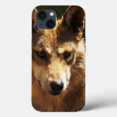 Wolf of Pet iPhone 13 Hoesje (Achterkant)