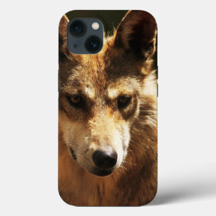 Wolf of Pet iPhone 13 Hoesje