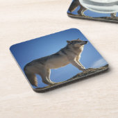 Wolf on Rocks Onderzetter (Linkerzijde)