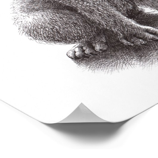 Wolf ontmoet Owls Poster (Hoek)