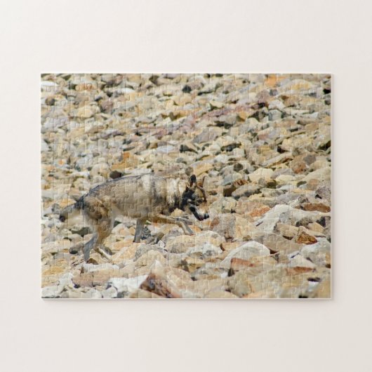 Wolf op de Rocks Legpuzzel (Horizontaal)