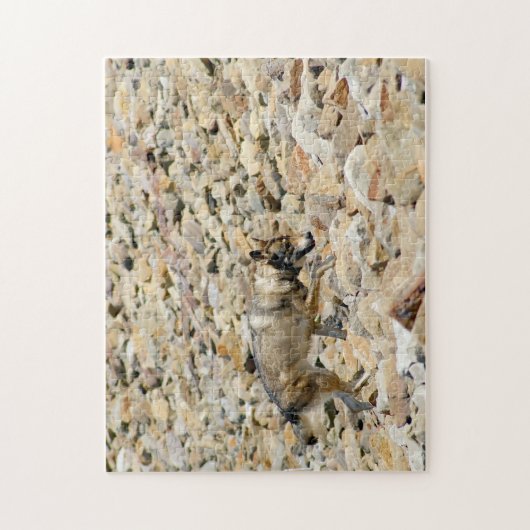 Wolf op de Rocks Legpuzzel (Verticaal)