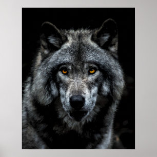 Wolf Oranje Ogen Wilde Dier Natuur Poster