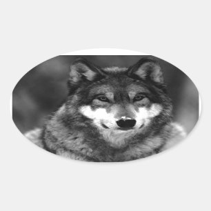 Wolf Ovale Sticker