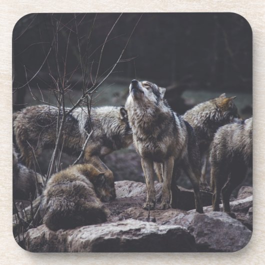 Wolf Pack Beverage Coaster Bier Onderzetter (Voorkant)