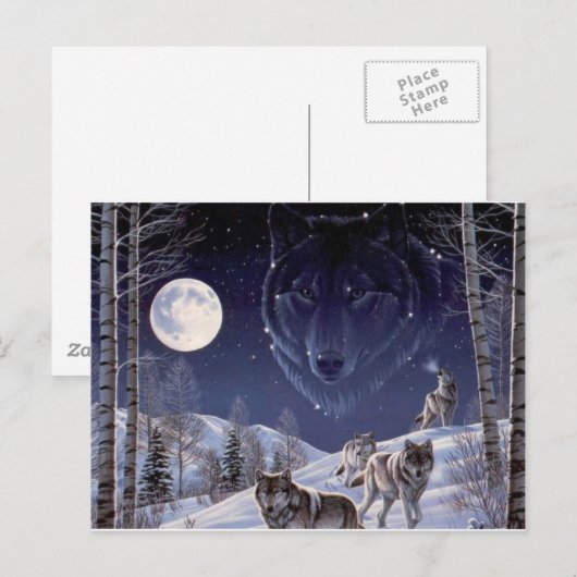 Wolf Pack Briefkaart (Voorkant / Achterkant)