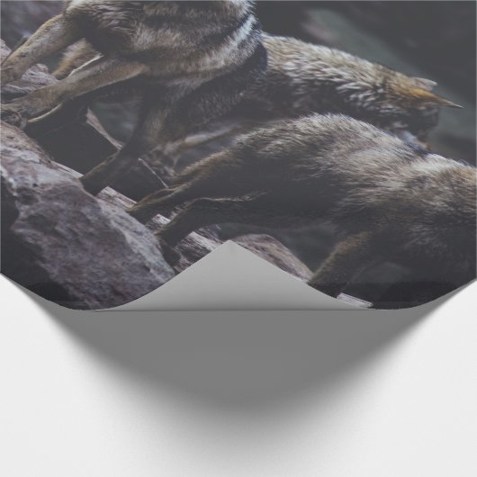 Wolf Pack Cadeaupapier (Hoek)